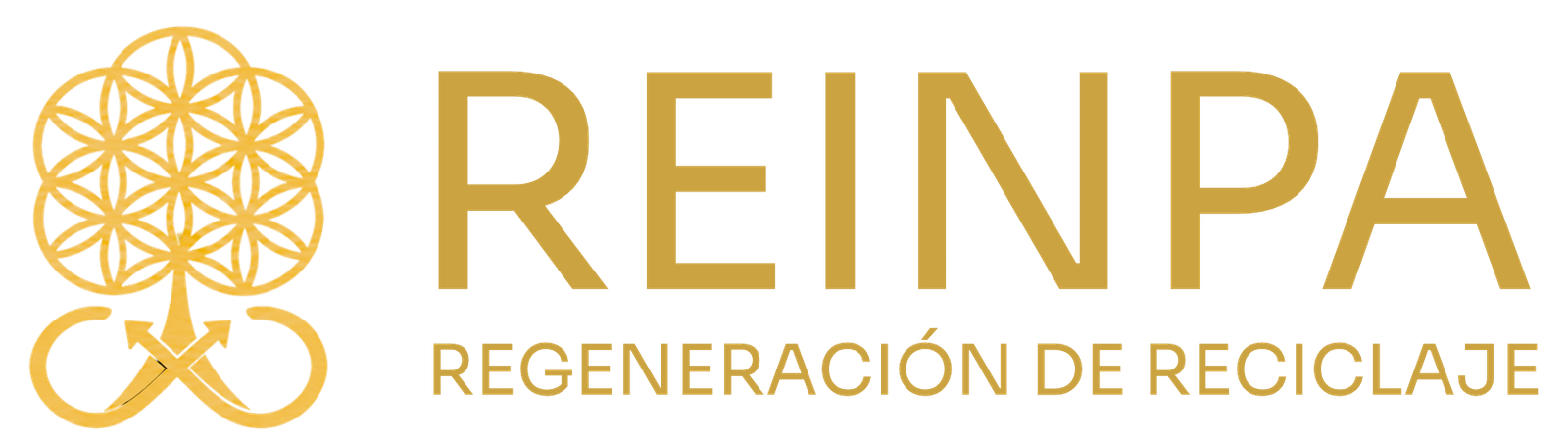 reinpa.com